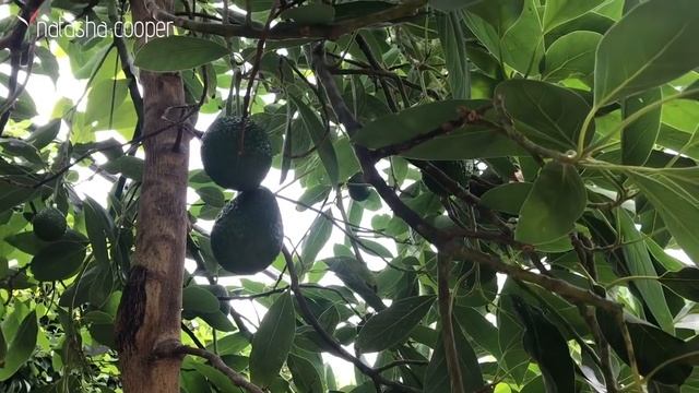 ▶️ Ответы на "контрольную". Как перевести на русский ISH по контексту? смотреть онлайн