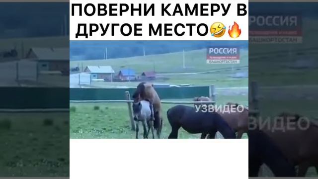 ПОВЕРНИ КАМЕРУ В ДРУГОЕ МЕСТО смотреть онлайн