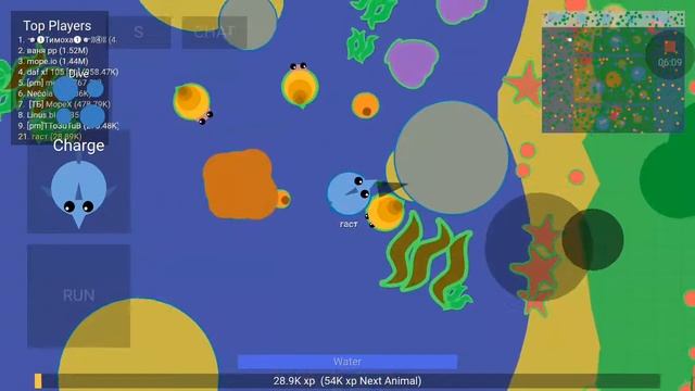 Mope Io от мышки до акулы