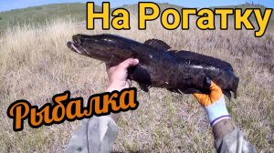 HeadShot в действии: Рыбалка с рогаткой - Мастерство, адреналин и невероятные попадания в цель!