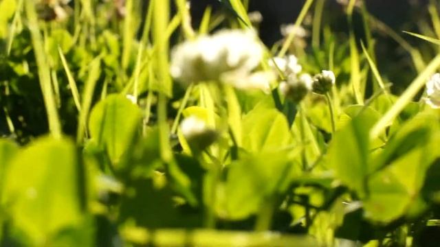 А за окном уже рассвет