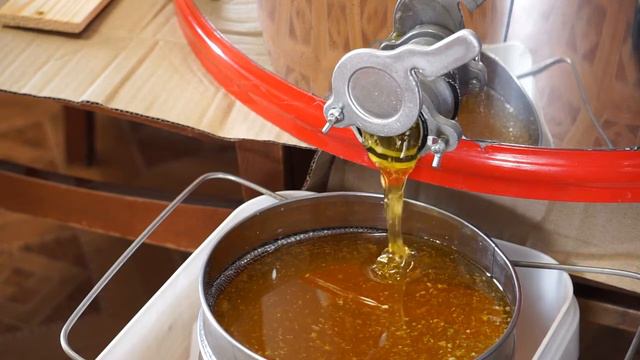 Мёд, спасение от четырех заболеваний смотреть онлайн