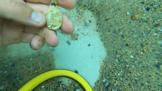 Search for DECEASED Owners GOLD while Underwater Metal Detecting (Returned to Grandson) смотреть онлайн