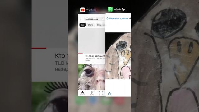 Солевая сова 🦉 смотреть онлайн
