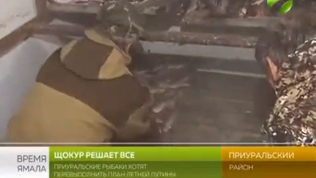 Приуральские рыбаки идут на рекорд смотреть онлайн