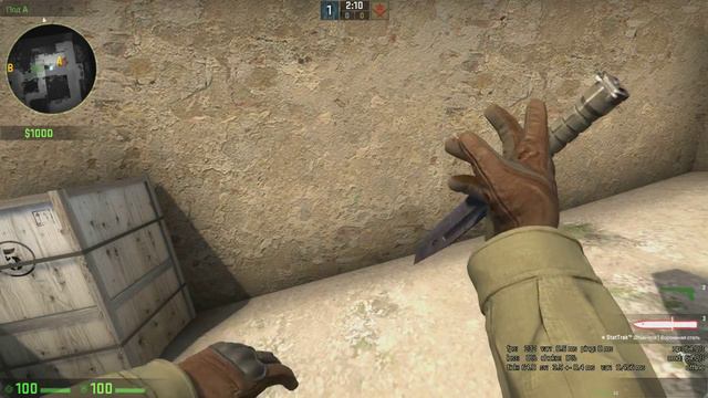 ★ StatTrak™ Bayonet | Blue Steel (Field-Tested) смотреть онлайн