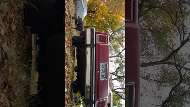 1979 ford ltd смотреть онлайн