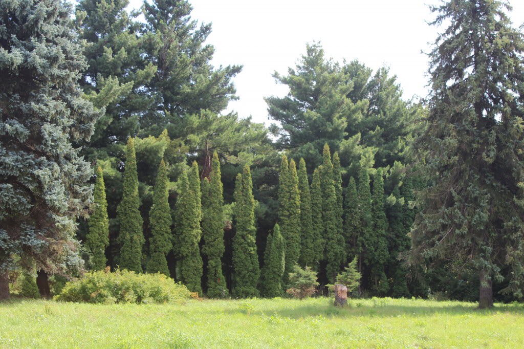 ЛУННАЯ СОНАТА..mp4 смотреть онлайн