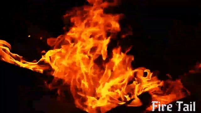 Sound for sleep. Wood crackling in the fireplace смотреть онлайн