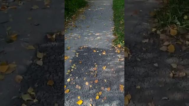 как проходит #МОЙ ДЕНЬ! если НЕ нужно идти в школу~MissZedirka смотреть онлайн