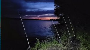 Рыбалка с ночевкой. Крупный карась и лещ.Рыбалка на донки