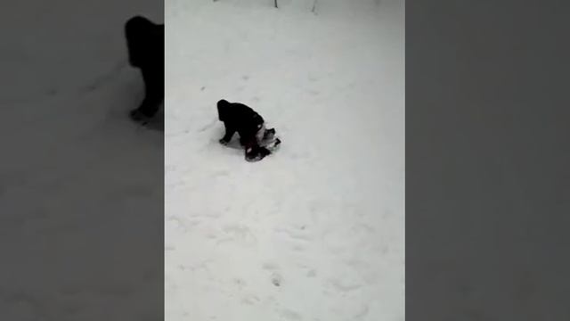 Как правильно прыгать с площадки. смотреть онлайн