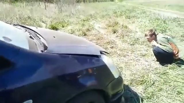 Как выгнать змею из под капота. смотреть онлайн