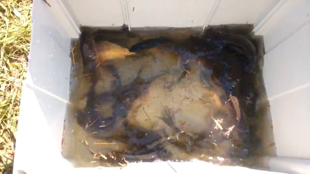 Систейнер фестул. Необычное применение смотреть онлайн