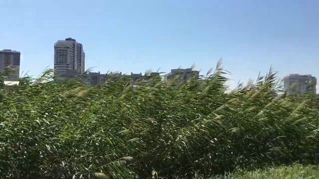 Новости Ажурной Рыбки на пруду и про петельки Берета Бобби