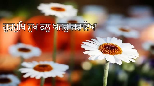 ਜਦੋ ਗੁਰਮੁੱਖ ਪਿਆਰੇ ਨੇ ਅੰਦਰ ਦਾ ਭੇਦ ਪਰਗਟ ਕੀਤਾ│ Secret Revealed by Gurmukh смотреть онлайн