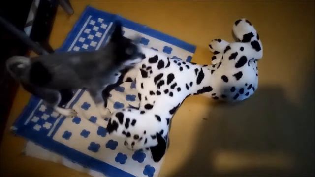 Локи и далматин. Схватка 1. (горизонтальное видео) смотреть онлайн