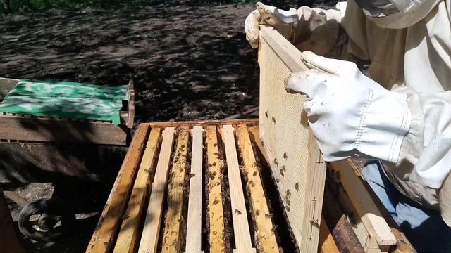 КАК ЗАСТАВИТЬ ПЧЕЛ ТЯНУТЬ ВОЩИНУ | РАБОТА С ВТОРЫМ КОРПУСОМ #5 смотреть онлайн