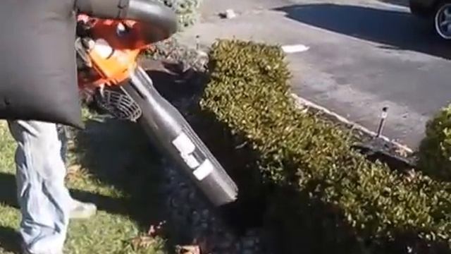 Echo ES-250 leaf vacuum/ blower/ Shred 'n' Vac review смотреть онлайн