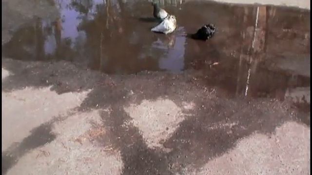 Потеплело 08 Mar 2019 teplo смотреть онлайн