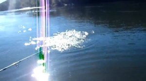 Ловля лосося (кеты) с поплавком