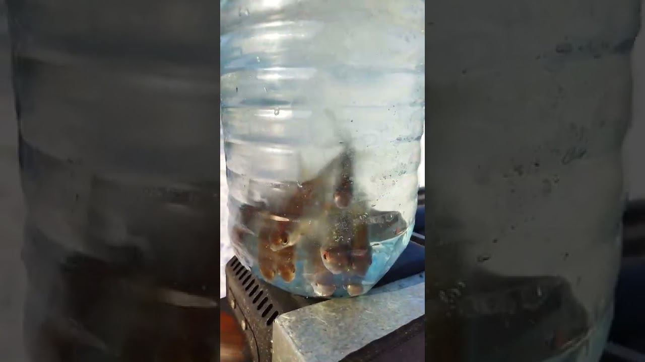 8 февраля 2022 г. смотреть онлайн