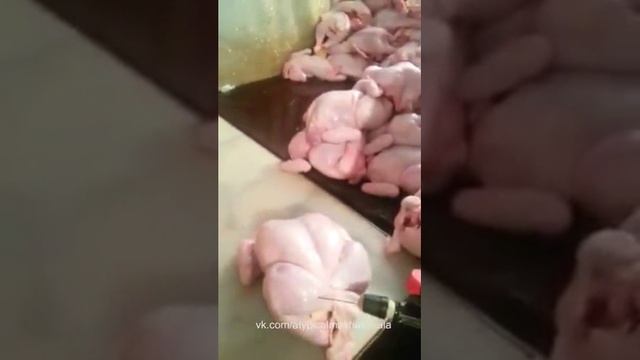 Как надувают КУРИЦУ ВОДОЙ...Развод Людей смотреть онлайн