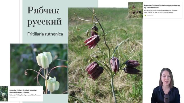 Степные первоцветы смотреть онлайн