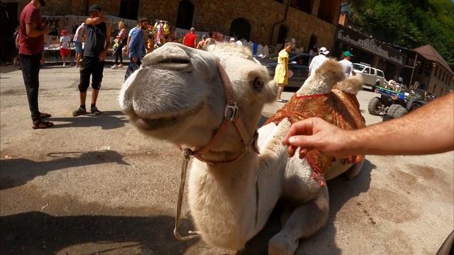 Лизнуть снега в Августе.Часть первая. смотреть онлайн