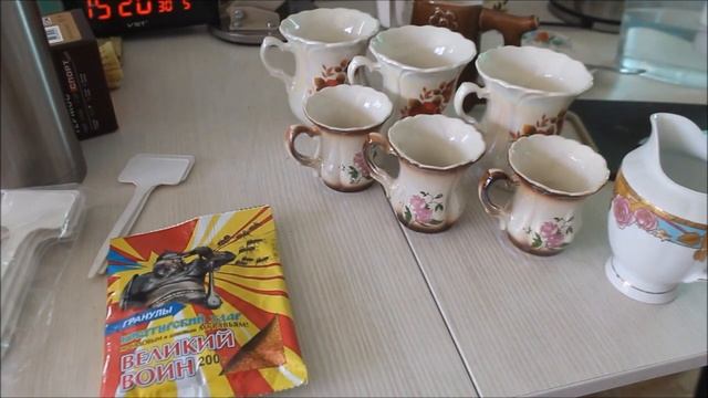 Появились тля и гусеницы/Всё ещё получаю подарки//Наталья Харитонова смотреть онлайн