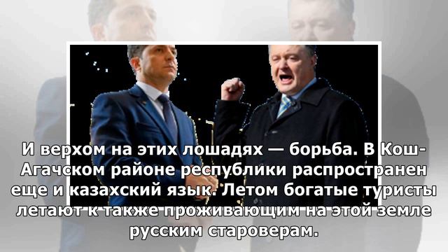 Интересуется всем: Хорохордин тихий, но очень въедливый смотреть онлайн