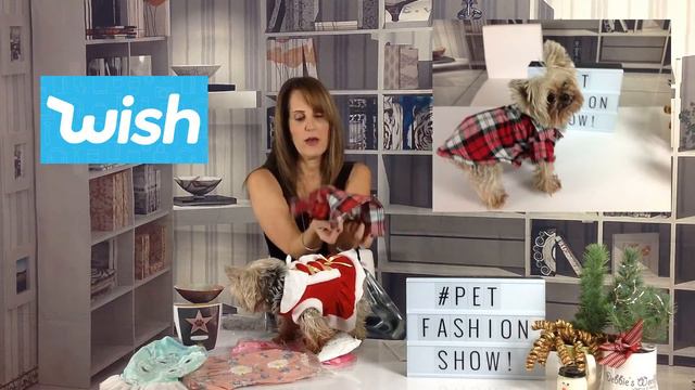 WISH HAUL #3 Clothing and Jewelry смотреть онлайн