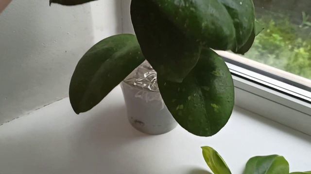 Шок от посылки 😲🌱 смотреть онлайн