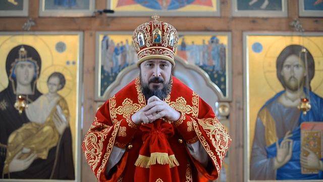 Слово митрополита Савватия в неделю 2-ю по Пасхе, апостола Фомы, день Антипасхи смотреть онлайн