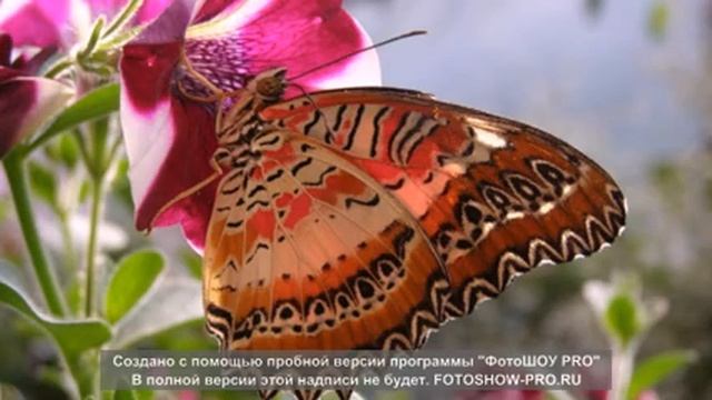Весна в горах смотреть онлайн