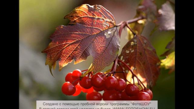 Эльмира Налбантова "Там где солнце всходит.." автор песни Лилия Зеленина смотреть онлайн