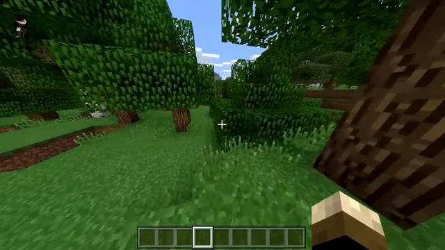 The New...NEW Minecraft is Here! ? or ? ?! (Nintendo Switch) смотреть онлайн