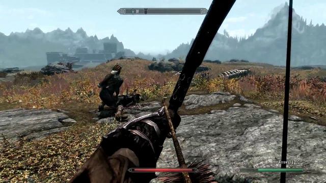 Skyrim : NPC goes crazy lloooowl смотреть онлайн