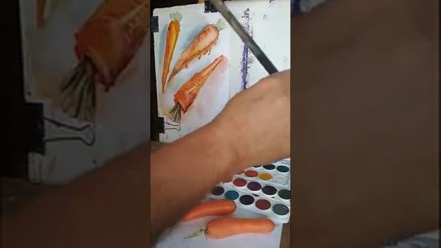 kök rəsmi рисунок моркови смотреть онлайн