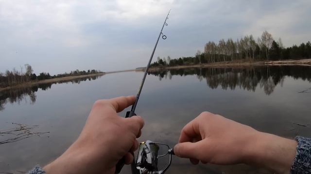 КАК поймать ПЛОТВУ на СПИННИНГ в ЗАПРЕТ