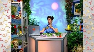 АЗН  Биология.  Животное коала