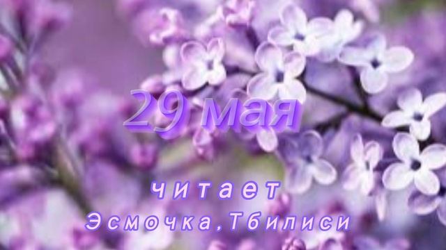 29 Мая - Счастливая медитация смотреть онлайн
