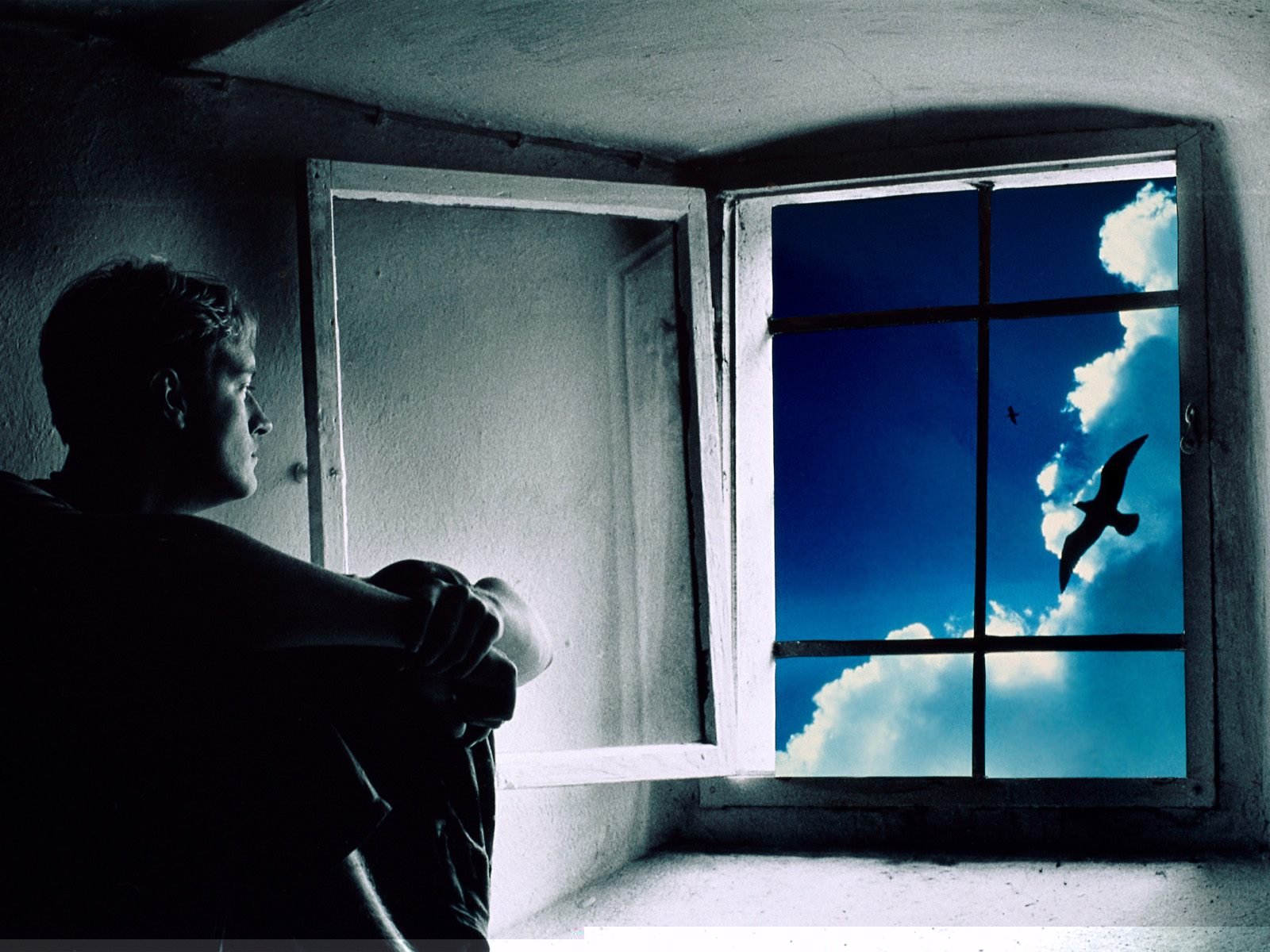 По ту сторону окон смотреть онлайн