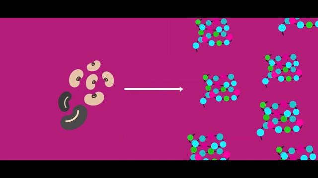 Протеин. Сколько белка необходимо для набора мышечной массы? Белок и его роль в организме человека. смотреть онлайн