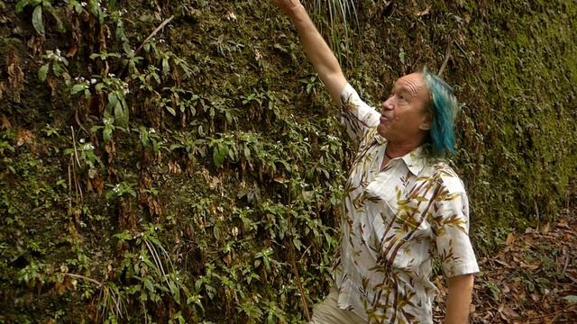 FIELD TRIP WITH PATRICK BLANC IN WEST SUMATRA смотреть онлайн