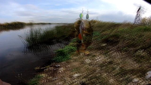 Прогулка с ультралайтом. Осенний окунь на Москва-реке. смотреть онлайн