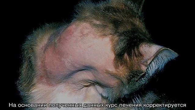 Делай То, Что Приносит Результат