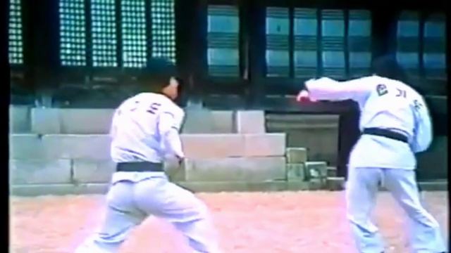 I Love Hapkido смотреть онлайн