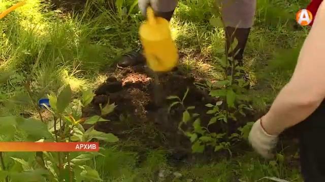 Агитационные листовки появились в почтовых ящиках мурманчан смотреть онлайн