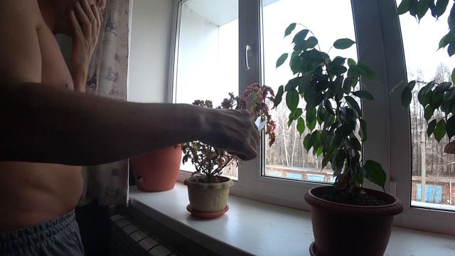 Голодание на воде 2+2+5 дней. Готовлю катык, а потом сюзма, чалап. максым, курт=курут. Уроки музыки смотреть онлайн
